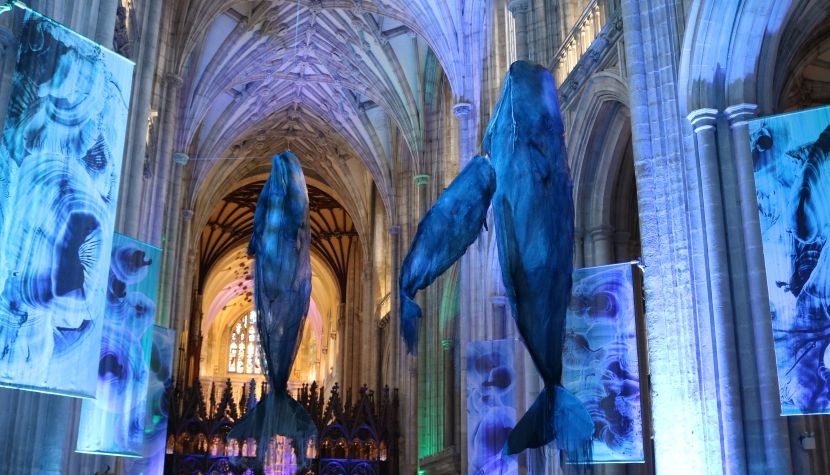 Whales at Winchester Cathedral